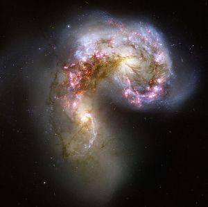 Arp244 (NGC4038 и NGC4039)